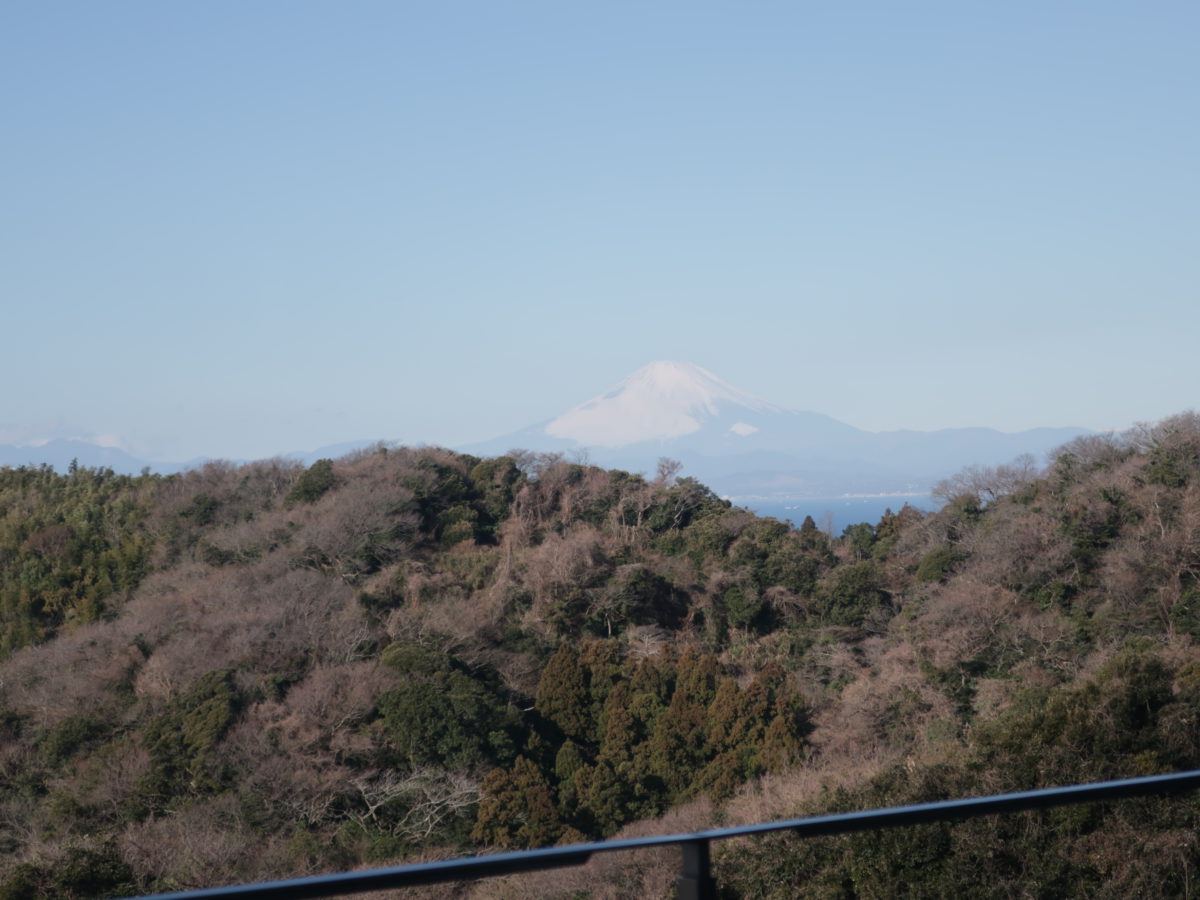 ホテルからの富士山。